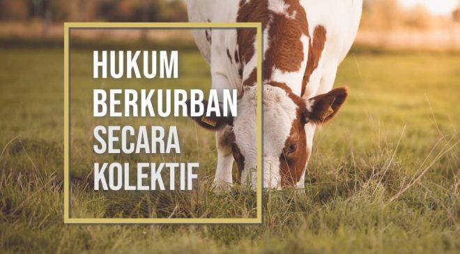 (Web) Hukum Berkurban Secara Kolektif